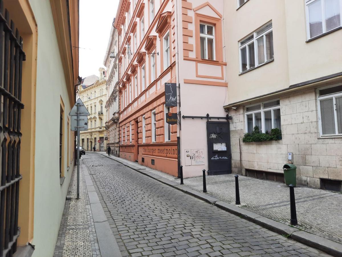 Kwatera prywatna Downtown Minimalistic In Flatshare Praga